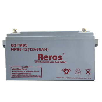 雷诺士12V65AH