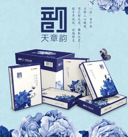 天章(TANGO)天章韵A4打印纸复印纸 80g 500张/包 5包/箱(共2500张)