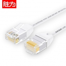 胜为LC-9010H 超六类网线白色CAT6A 家用跳线 1米